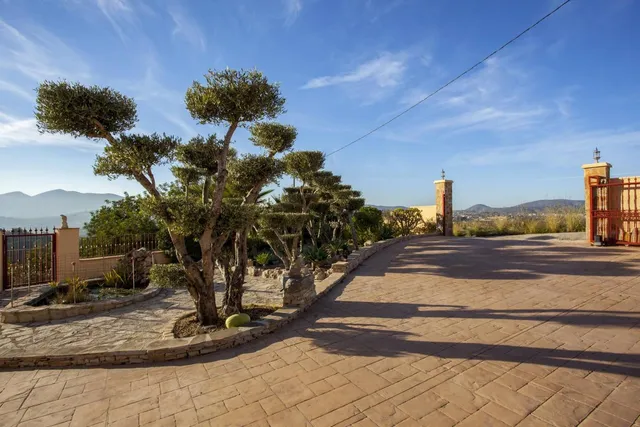 Explanada de acceso pavimentada, con olivos centenarios podados en bola y las montañas al fondo