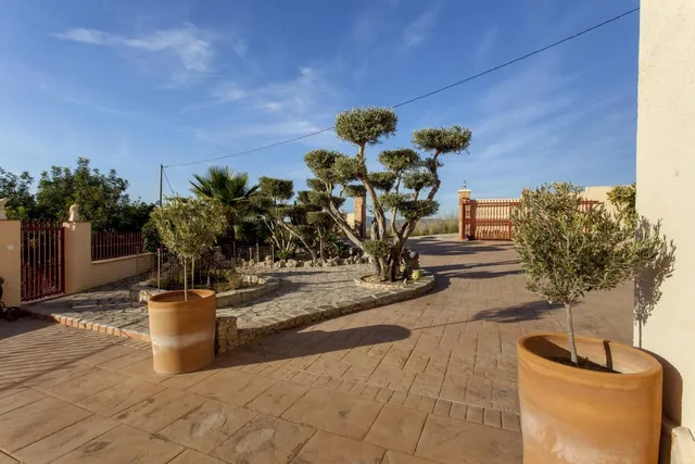 Entrada de la finca con olivos podados en copa, macetones de barro y el portón de acceso al fondo